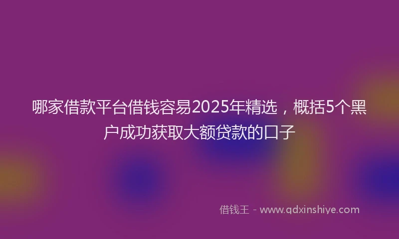 哪家借款平台借钱容易2025年精选，概括5个黑户成功获取大额贷款的口子