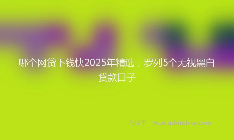 哪个网贷下钱快2025年精选，罗列5个无视黑白贷款口子