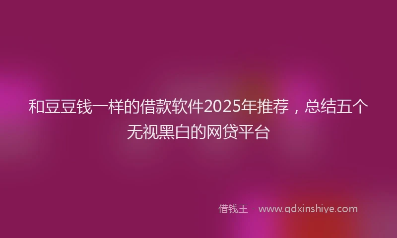 和豆豆钱一样的借款软件2025年推荐，总结五个无视黑白的网贷平台
