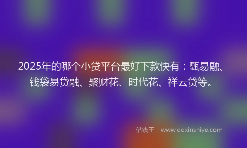 2025年的哪个小贷平台最好下款快有：甄易融、钱袋易贷融、聚财花、时代花、祥云贷等。