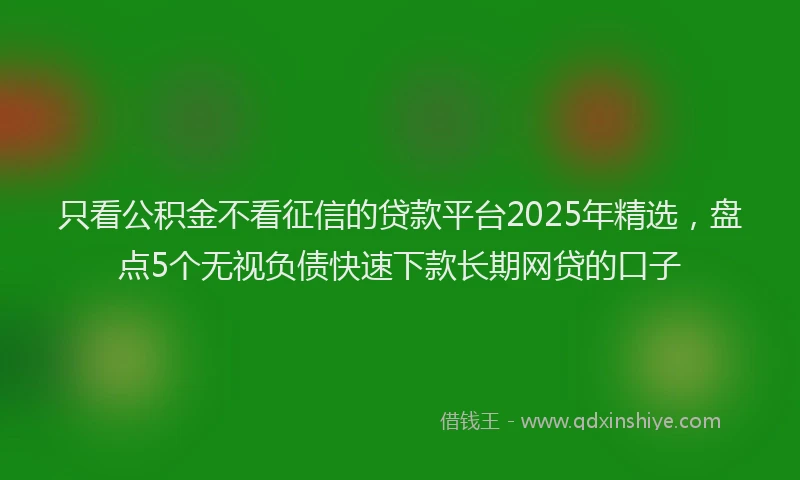 只看公积金不看征信的贷款平台2025年精选，盘点5个无视负债快速下款长期网贷的口子