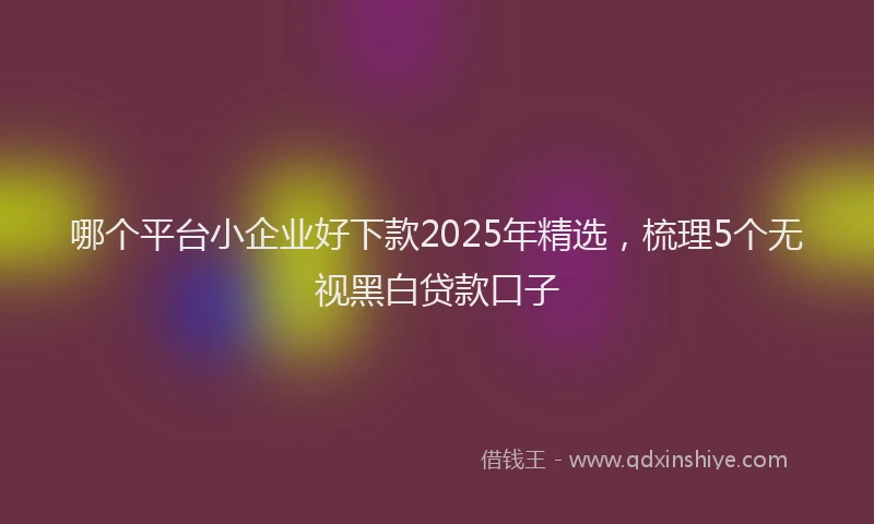 哪个平台小企业好下款2025年精选，梳理5个无视黑白贷款口子