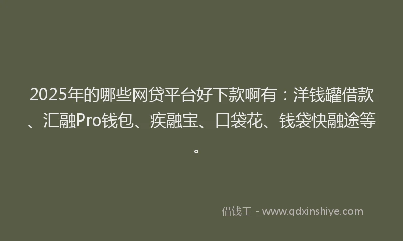 2025年的哪些网贷平台好下款啊有：洋钱罐借款、汇融Pro钱包、疾融宝、口袋花、钱袋快融途等。