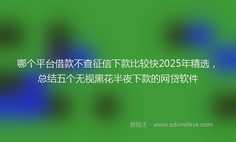 哪个平台借款不查征信下款比较快2025年精选，总结五个无视黑花半夜下款的网贷软件
