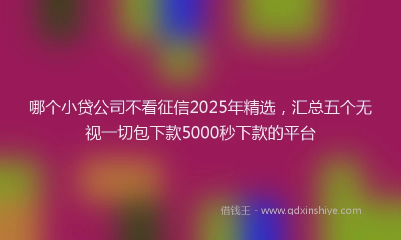 哪个小贷公司不看征信2025年精选，汇总五个无视一切包下款5000秒下款的平台