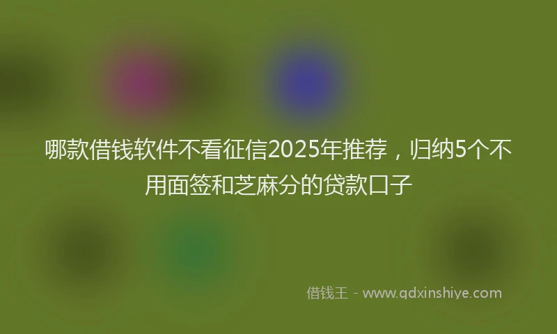 哪款借钱软件不看征信2025年推荐，归纳5个不用面签和芝麻分的贷款口子