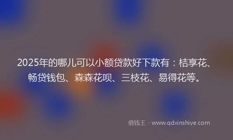 2025年的哪儿可以小额贷款好下款有：桔享花、畅贷钱包、森森花呗、三枝花、易得花等。