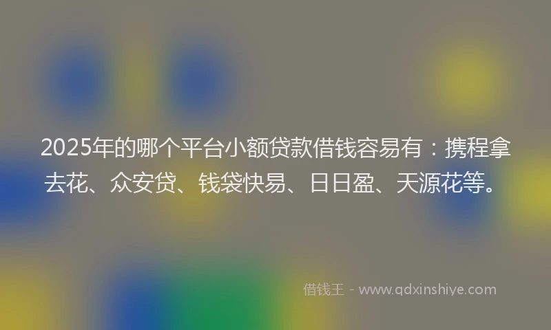 2025年的哪个平台小额贷款借钱容易有：携程拿去花、众安贷、钱袋快易、日日盈、天源花等。