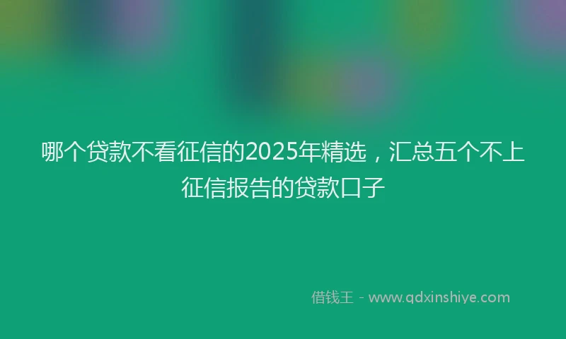哪个贷款不看征信的2025年精选，汇总五个不上征信报告的贷款口子