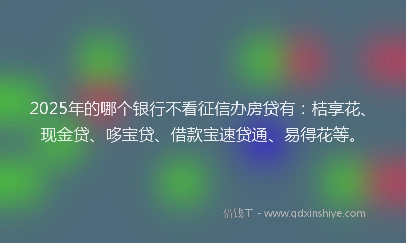 2025年的哪个银行不看征信办房贷有：桔享花、现金贷、哆宝贷、借款宝速贷通、易得花等。