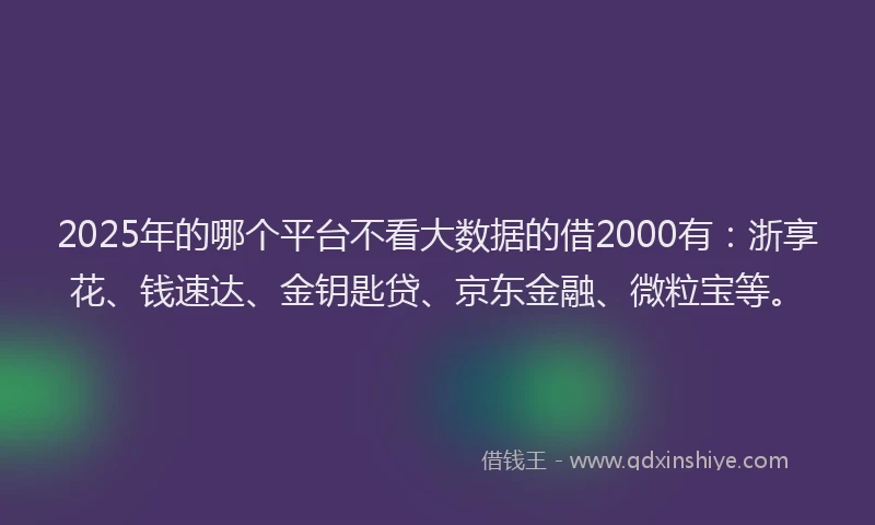 2025年的哪个平台不看大数据的借2000有：浙享花、钱速达、金钥匙贷、京东金融、微粒宝等。