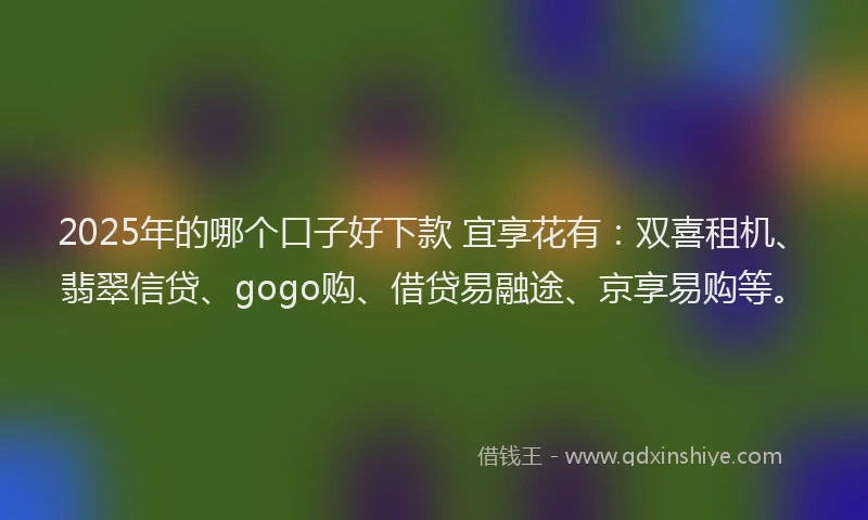 2025年的哪个口子好下款 宜享花有：双喜租机、翡翠信贷、gogo购、借贷易融途、京享易购等。