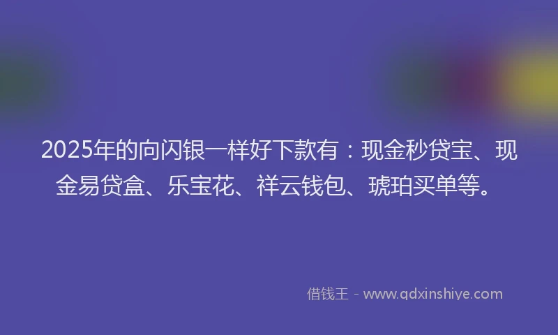 2025年的向闪银一样好下款有：现金秒贷宝、现金易贷盒、乐宝花、祥云钱包、琥珀买单等。