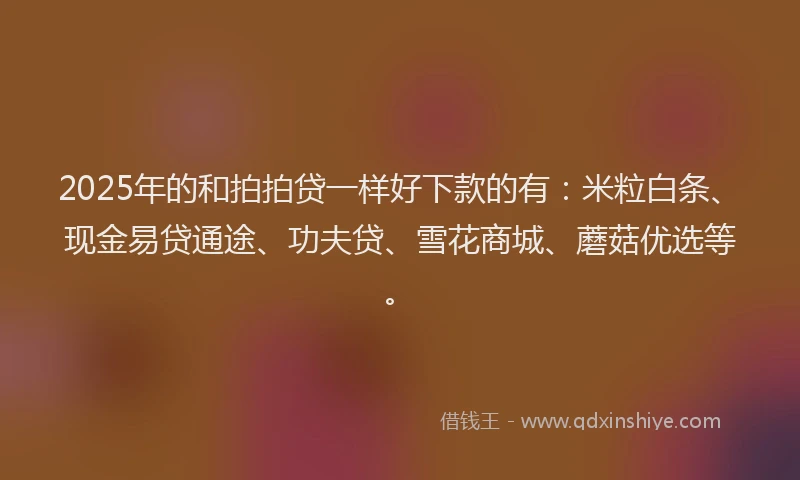2025年的和拍拍贷一样好下款的有：米粒白条、现金易贷通途、功夫贷、雪花商城、蘑菇优选等。