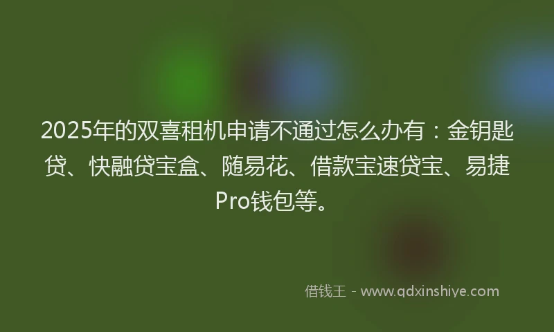 2025年的双喜租机申请不通过怎么办有：金钥匙贷、快融贷宝盒、随易花、借款宝速贷宝、易捷Pro钱包等。