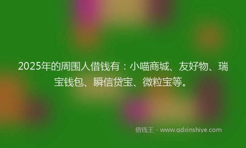 2025年的周围人借钱有：小喵商城、友好物、瑞宝钱包、瞬信贷宝、微粒宝等。