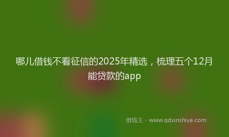 哪儿借钱不看征信的2025年精选，梳理五个12月能贷款的app