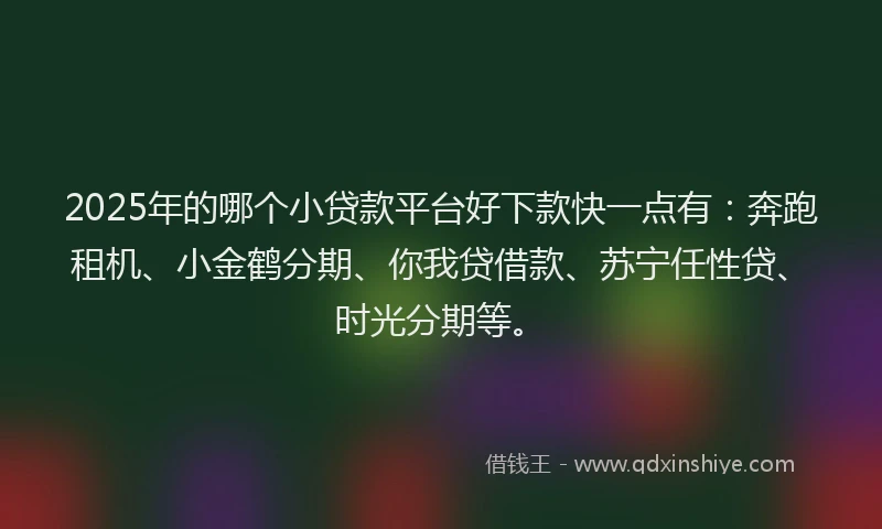 2025年的哪个小贷款平台好下款快一点有：奔跑租机、小金鹤分期、你我贷借款、苏宁任性贷、时光分期等。