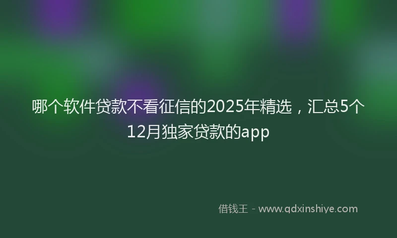 哪个软件贷款不看征信的2025年精选，汇总5个12月独家贷款的app