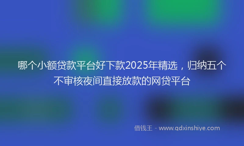 哪个小额贷款平台好下款2025年精选，归纳五个不审核夜间直接放款的网贷平台