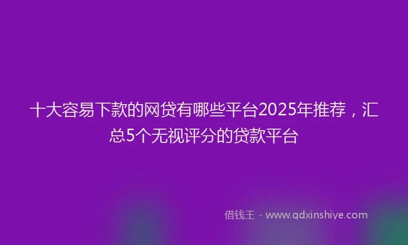 十大容易下款的网贷有哪些平台2025年推荐，汇总5个无视评分的贷款平台
