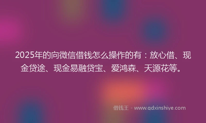 2025年的向微信借钱怎么操作的有：放心借、现金贷途、现金易融贷宝、爱鸿森、天源花等。