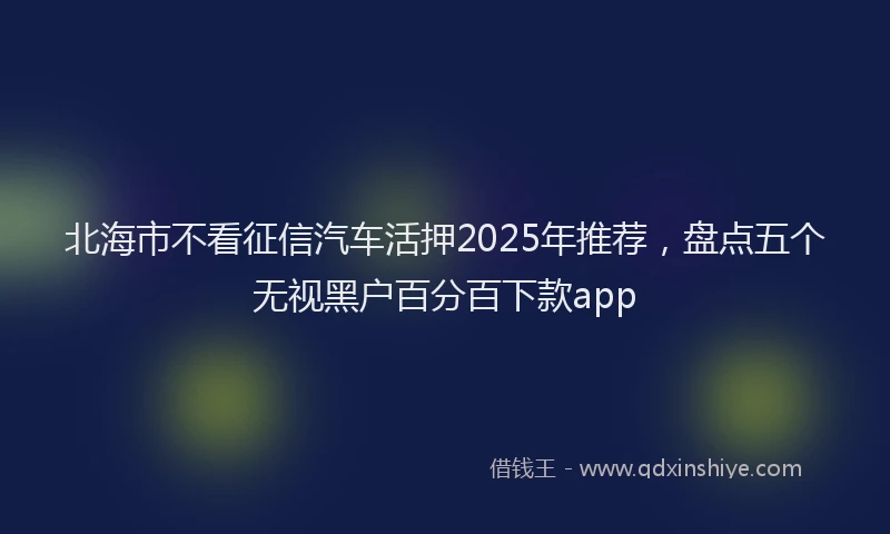 北海市不看征信汽车活押2025年推荐，盘点五个无视黑户百分百下款app