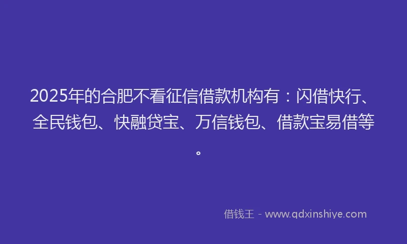 2025年的合肥不看征信借款机构有：闪借快行、全民钱包、快融贷宝、万信钱包、借款宝易借等。