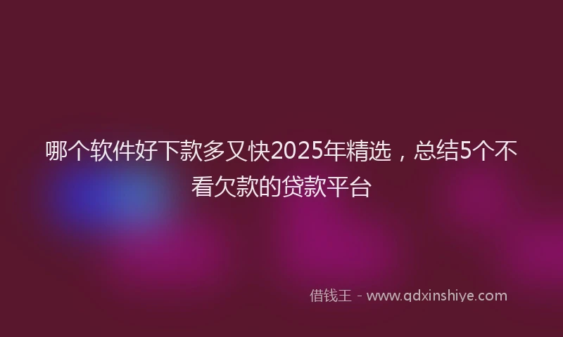 哪个软件好下款多又快2025年精选，总结5个不看欠款的贷款平台