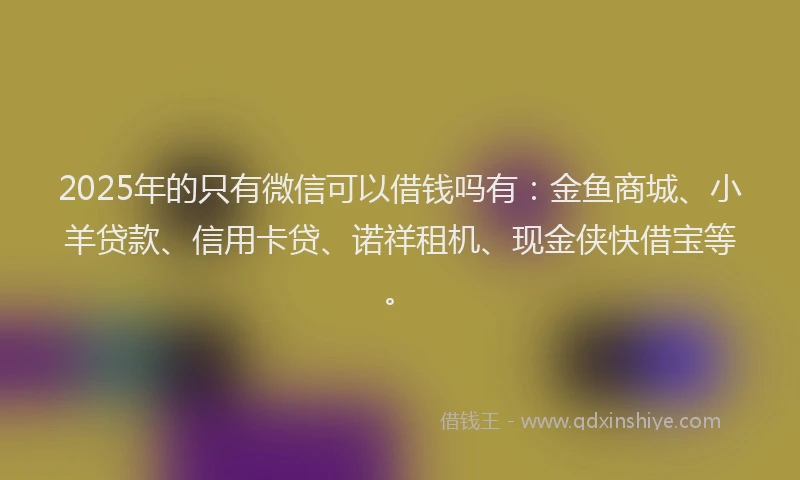 2025年的只有微信可以借钱吗有：金鱼商城、小羊贷款、信用卡贷、诺祥租机、现金侠快借宝等。