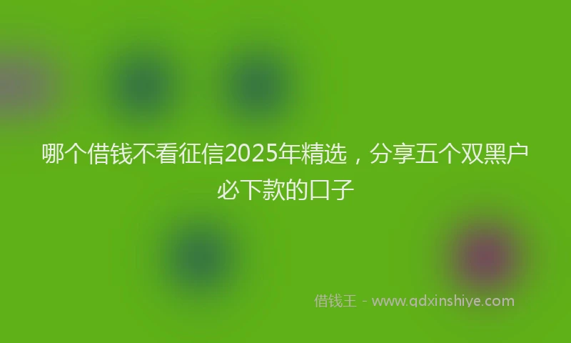 哪个借钱不看征信2025年精选，分享五个双黑户必下款的口子