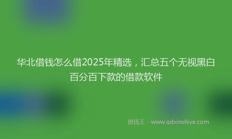 华北借钱怎么借2025年精选，汇总五个无视黑白百分百下款的借款软件