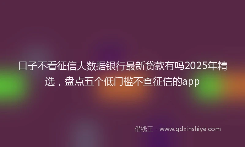口子不看征信大数据银行最新贷款有吗2025年精选，盘点五个低门槛不查征信的app