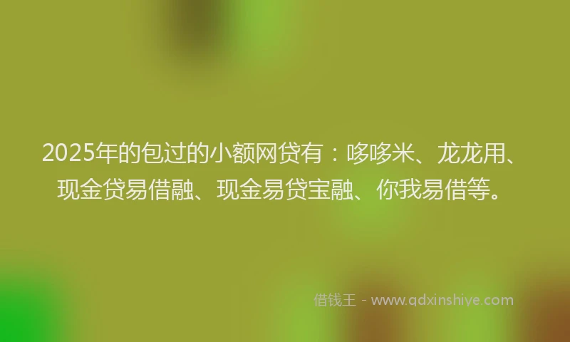 2025年的包过的小额网贷有：哆哆米、龙龙用、现金贷易借融、现金易贷宝融、你我易借等。