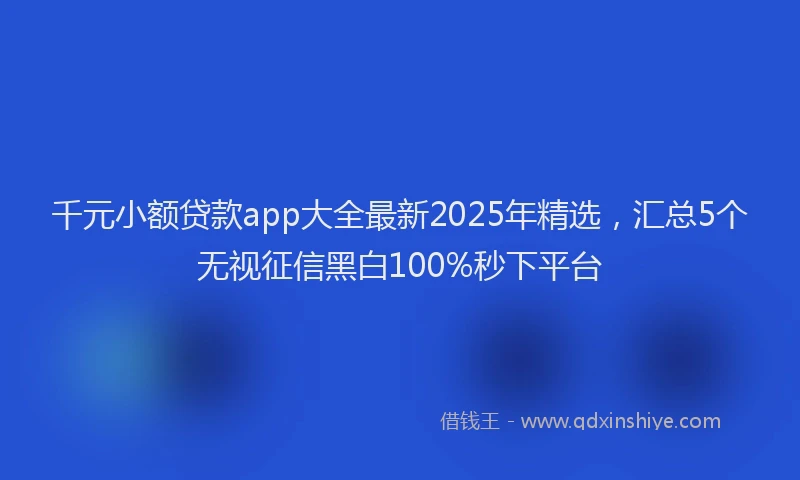 千元小额贷款app大全最新2025年精选，汇总5个无视征信黑白100%秒下平台