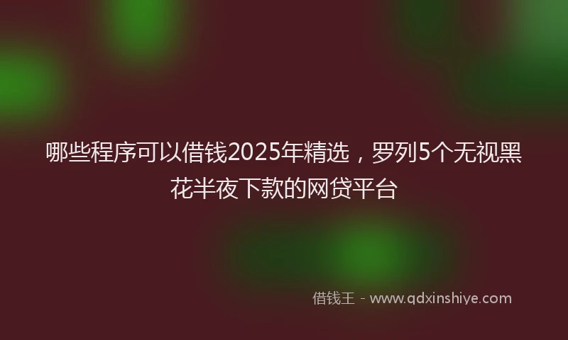 哪些程序可以借钱2025年精选，罗列5个无视黑花半夜下款的网贷平台