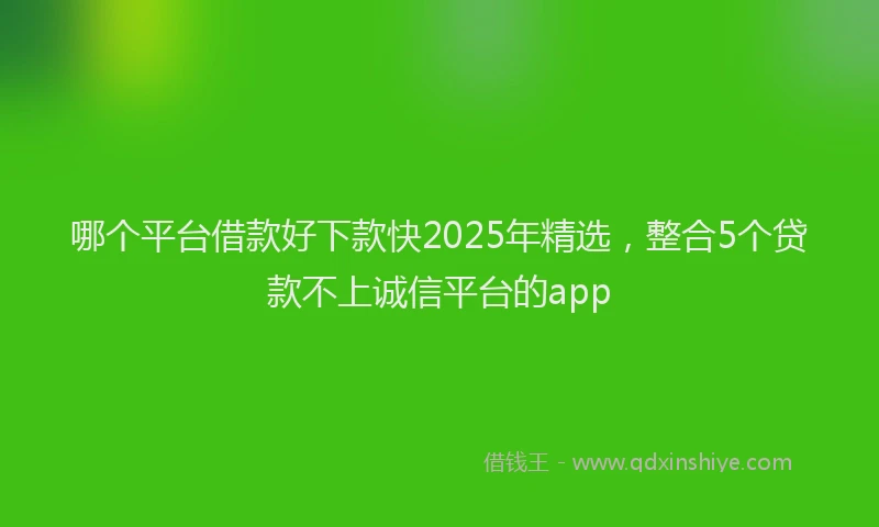 哪个平台借款好下款快2025年精选，整合5个贷款不上诚信平台的app