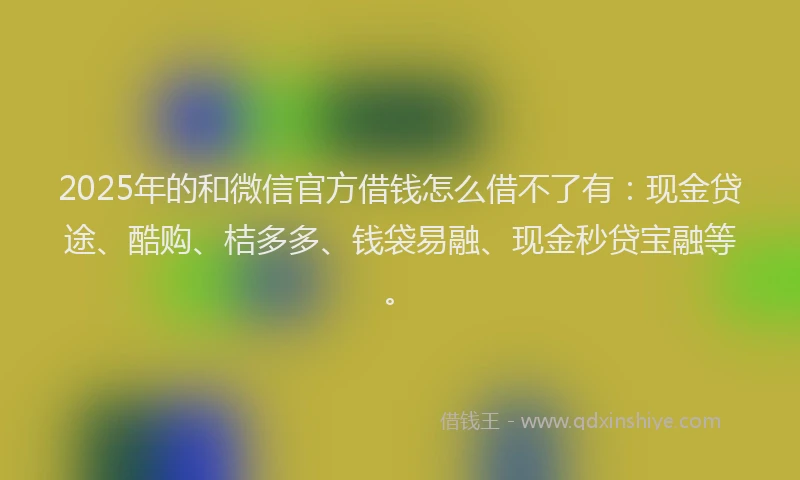 2025年的和微信官方借钱怎么借不了有：现金贷途、酷购、桔多多、钱袋易融、现金秒贷宝融等。