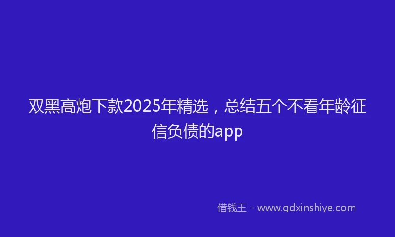 双黑高炮下款2025年精选，总结五个不看年龄征信负债的app