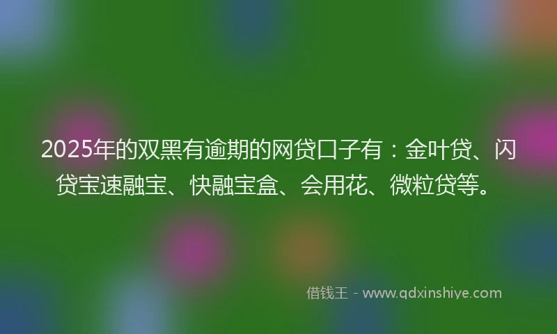 2025年的双黑有逾期的网贷口子有：金叶贷、闪贷宝速融宝、快融宝盒、会用花、微粒贷等。