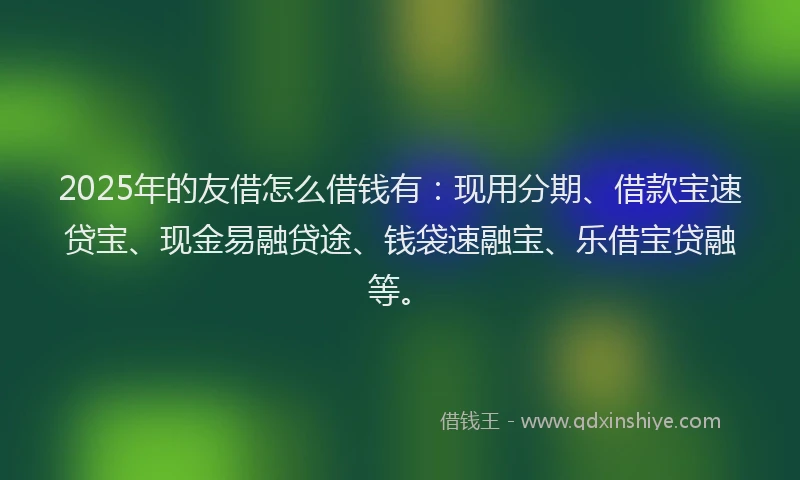 2025年的友借怎么借钱有：现用分期、借款宝速贷宝、现金易融贷途、钱袋速融宝、乐借宝贷融等。