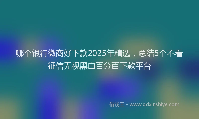 哪个银行微商好下款2025年精选，总结5个不看征信无视黑白百分百下款平台