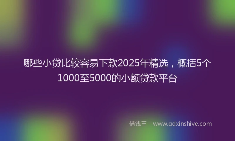 哪些小贷比较容易下款2025年精选，概括5个1000至5000的小额贷款平台