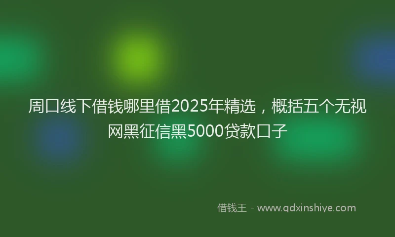 周口线下借钱哪里借2025年精选，概括五个无视网黑征信黑5000贷款口子