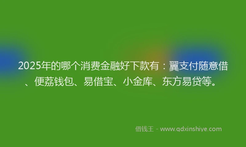 2025年的哪个消费金融好下款有：翼支付随意借、便荔钱包、易借宝、小金库、东方易贷等。