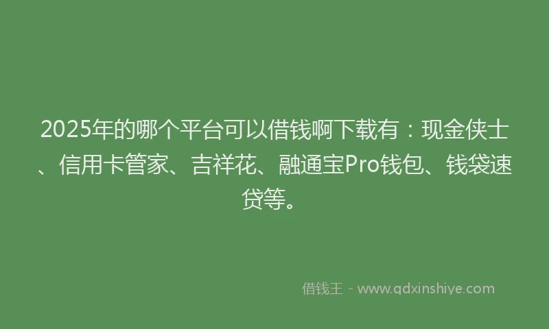 2025年的哪个平台可以借钱啊下载有：现金侠士、信用卡管家、吉祥花、融通宝Pro钱包、钱袋速贷等。