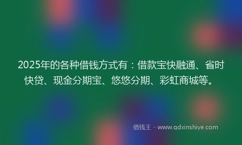 2025年的各种借钱方式有：借款宝快融通、省时快贷、现金分期宝、悠悠分期、彩虹商城等。