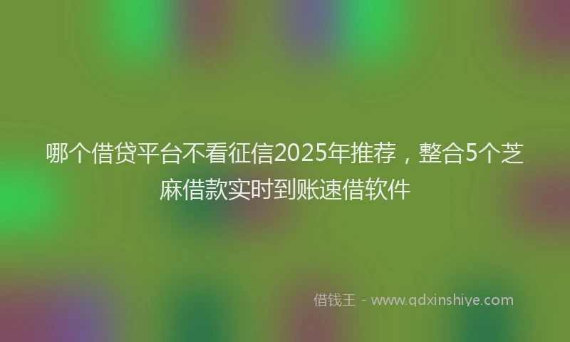 哪个借贷平台不看征信2025年推荐，整合5个芝麻借款实时到账速借软件