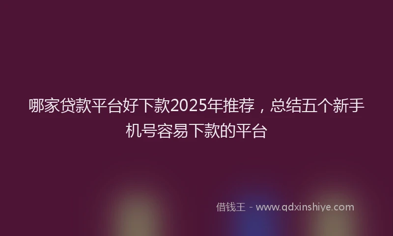 哪家贷款平台好下款2025年推荐，总结五个新手机号容易下款的平台