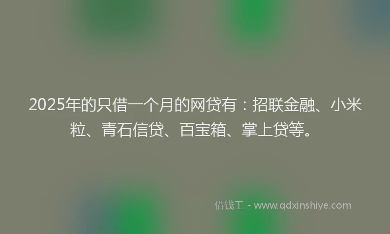 2025年的只借一个月的网贷有：招联金融、小米粒、青石信贷、百宝箱、掌上贷等。